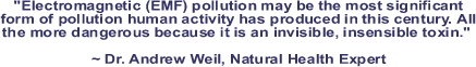 main quote